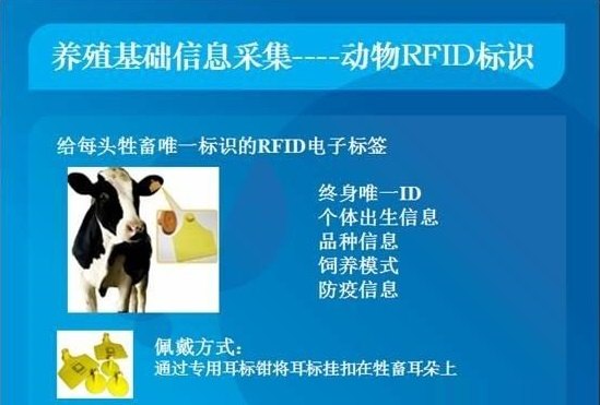 动物RFID标识示意图.jpg